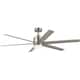 Option Painted Brushed Nickel