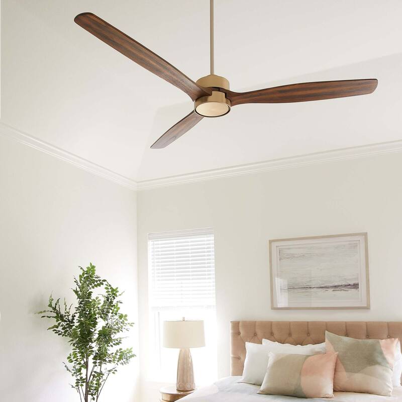 Quorum International 21653 Reni 65" 3 Blade Indoor Ceiling Fan with