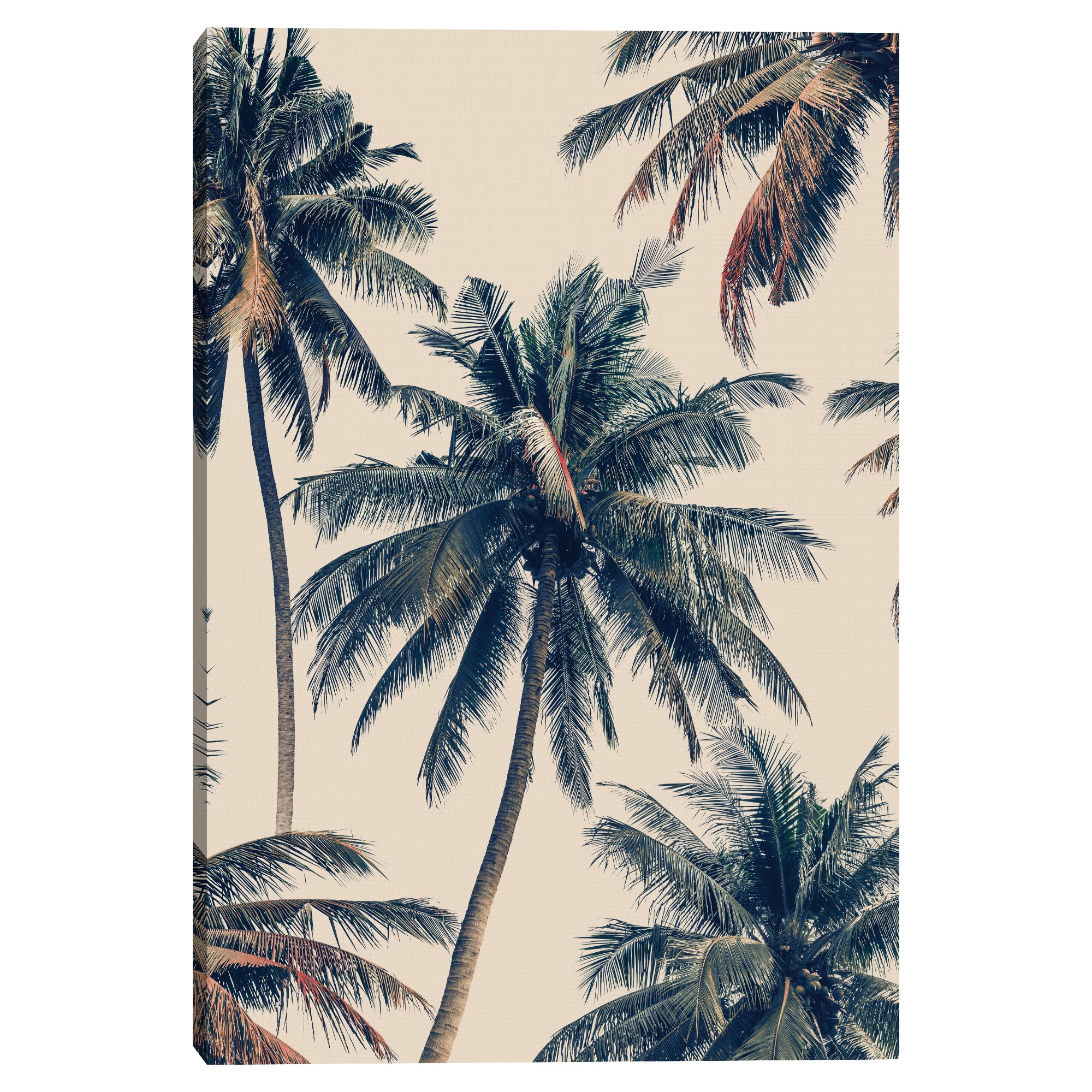 Vintage Palms by Belle Maison Canvas Art Print