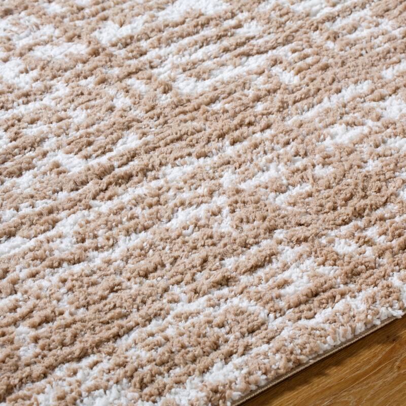 Livabliss Modern & Contemporary Sacramento Shag Ombre Area Rug