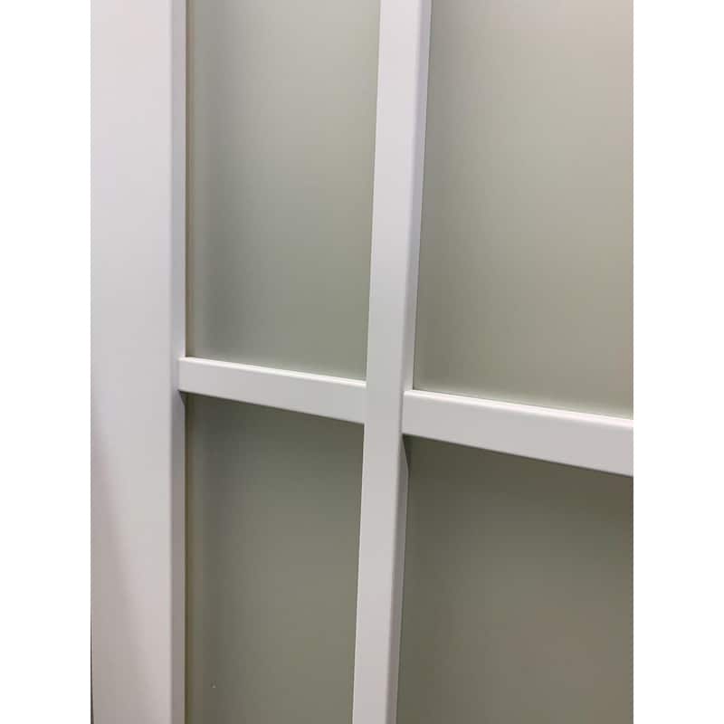 Sliding Closet Frosted Glass 9 Lites Bypass Doors / Felicia 3309 White