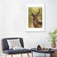 preview thumbnail 9 of 18, iCanvas "Mr. Waterbuck" by Patsy Weingart PFA