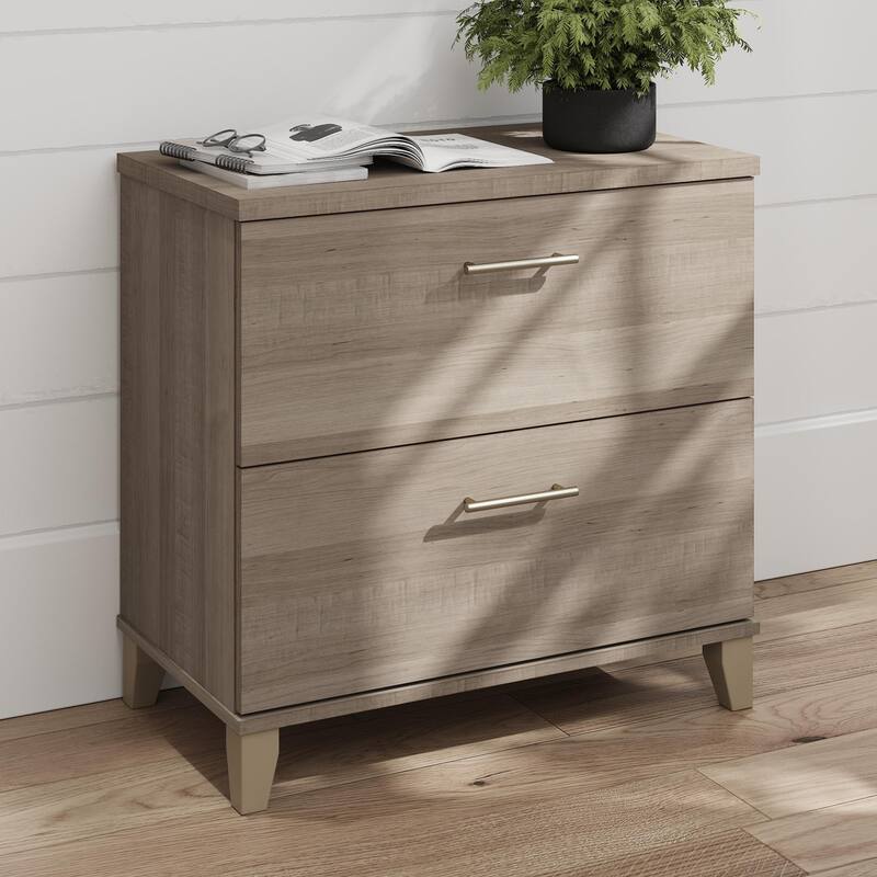Bush Furniture Somerset 2 Drawer Lateral File Cabinet with Storage
