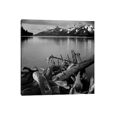 iCanvas "Captionless" by Ansel Adams Canvas Print