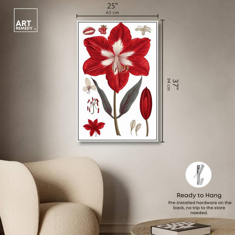 Amaryllis Anatomy Canvas by Art Remedy