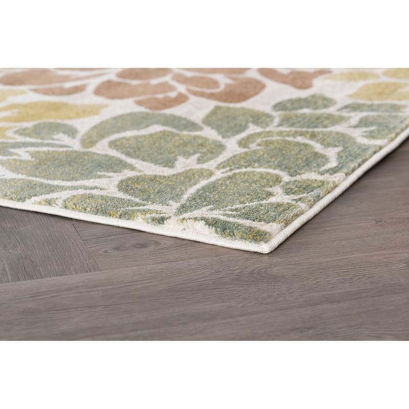 Decora Transitional Floral Indoor Area Rug