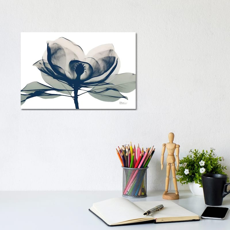 iCanvas "Blue Ranged Magnolia I" by Albert Koetsier Canvas Print - 8x12x0.75