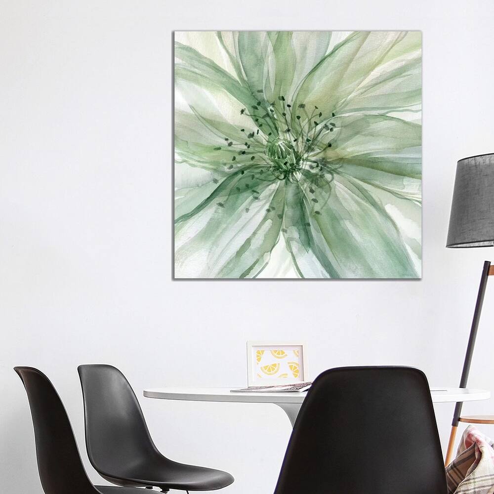 iCanvas "Macro Sage Flower II" by Carol Robinson Canvas Print