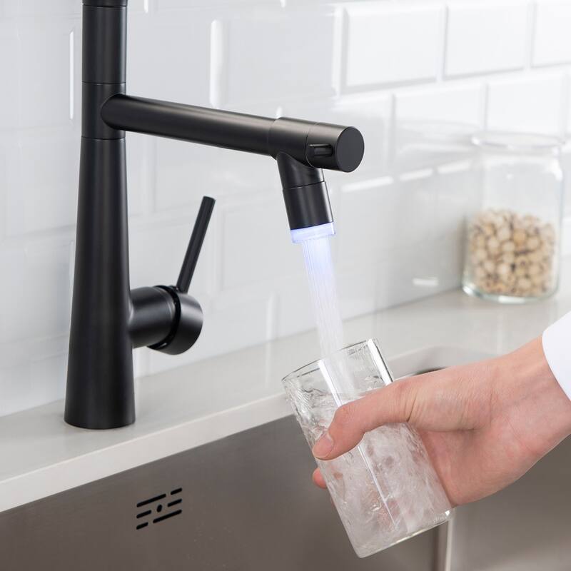 Pre-rinse kitchen faucet