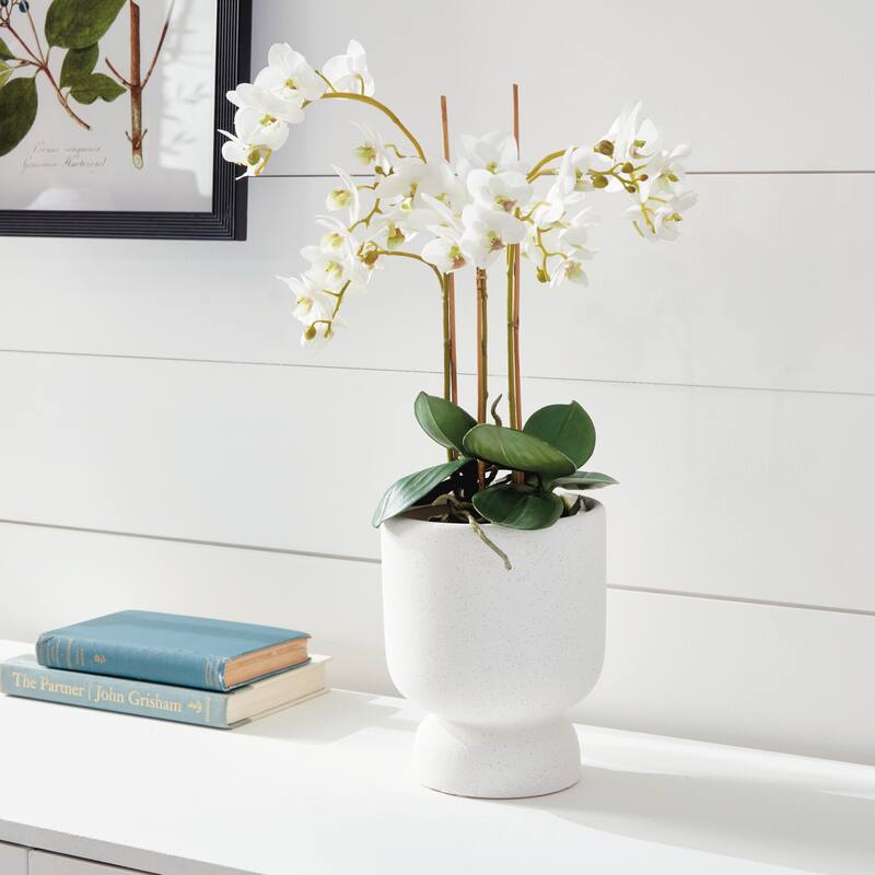 Phalaenopsis Orchid Drop-In 20" - White