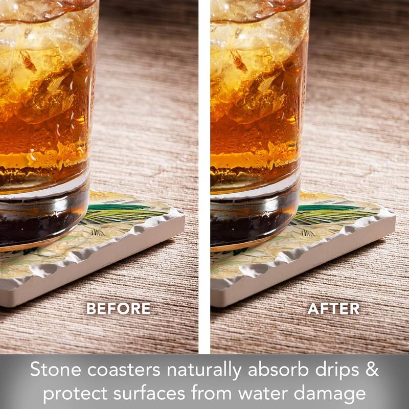 Hummingbird 4-Pack Absorbent Stone Coasters with Protective Cork Backing 4" Square Made in The USA Artistic Easily Wipes Clean
