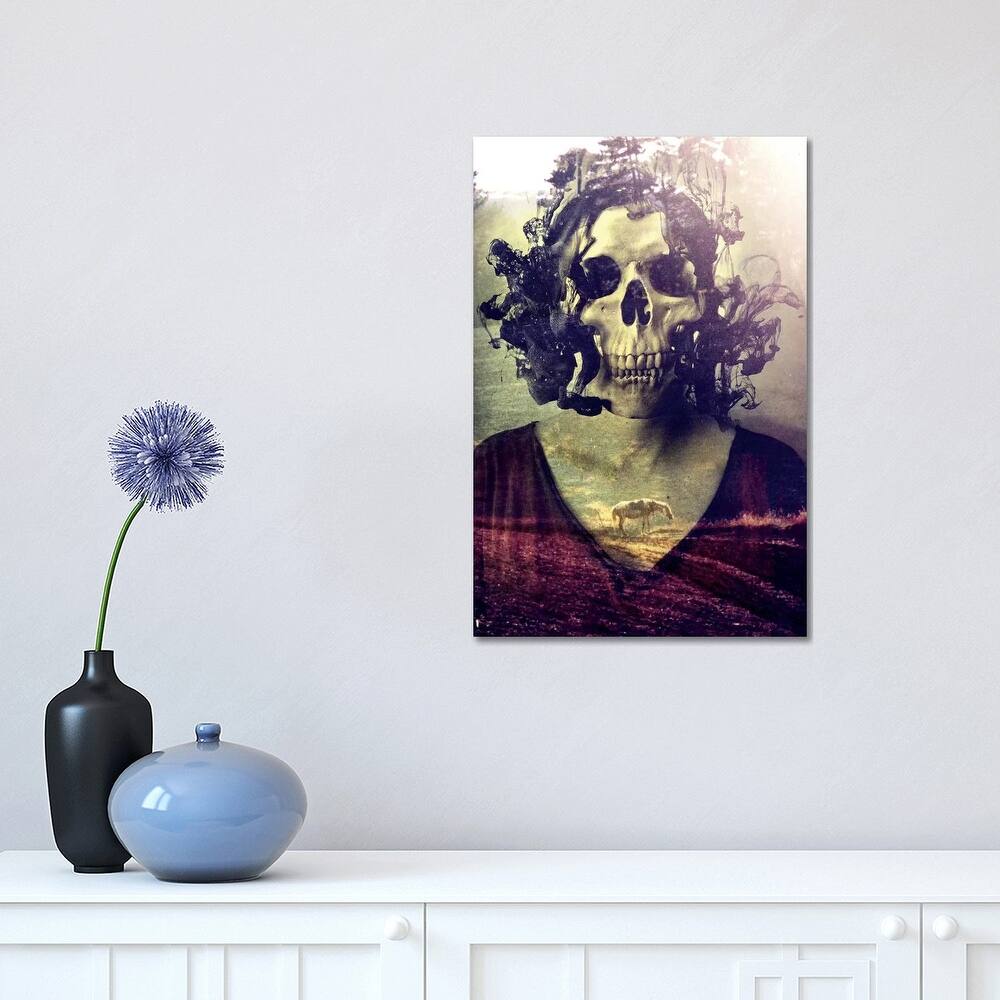 iCanvas "Miss Skull" by Ali Gulec Canvas Print