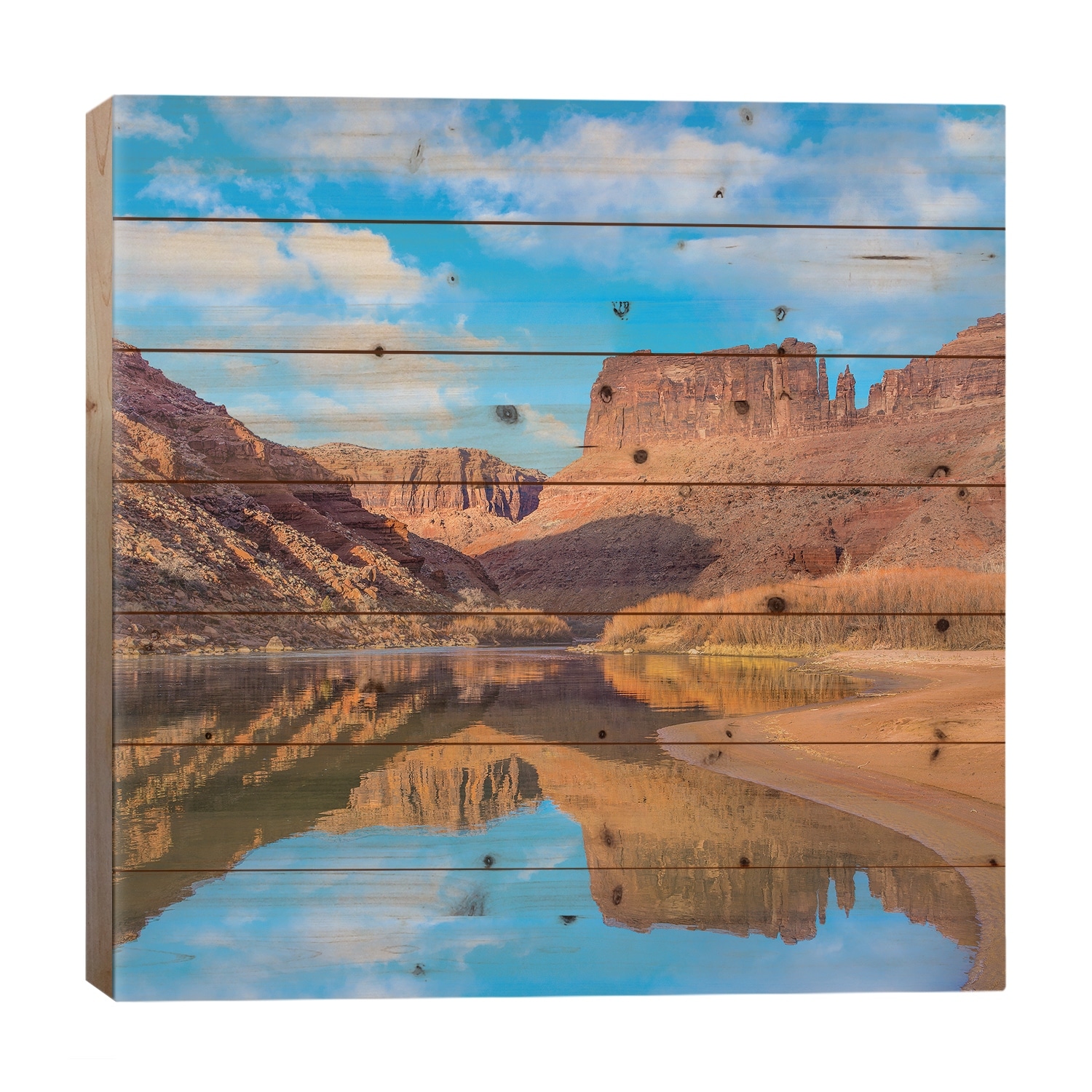 Mat Martin Point And The Colorado River, Arches National Park, Utah Print On Wood by Tim Fitzharris - Multi-Color