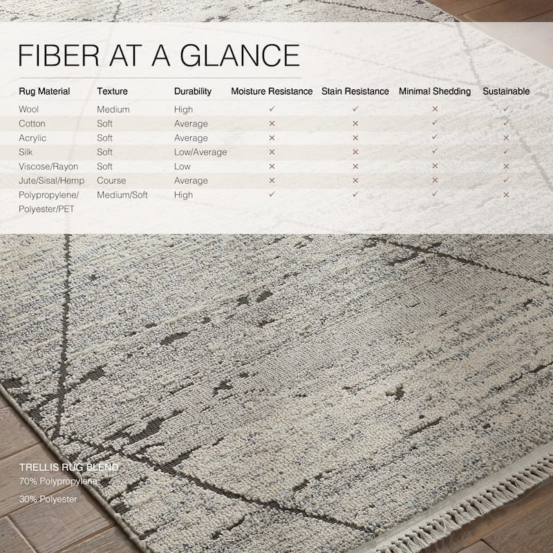 Imani Trellis Area Rug