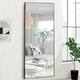 Neutypechic Huge Modern Metal Framed Floor Mirror