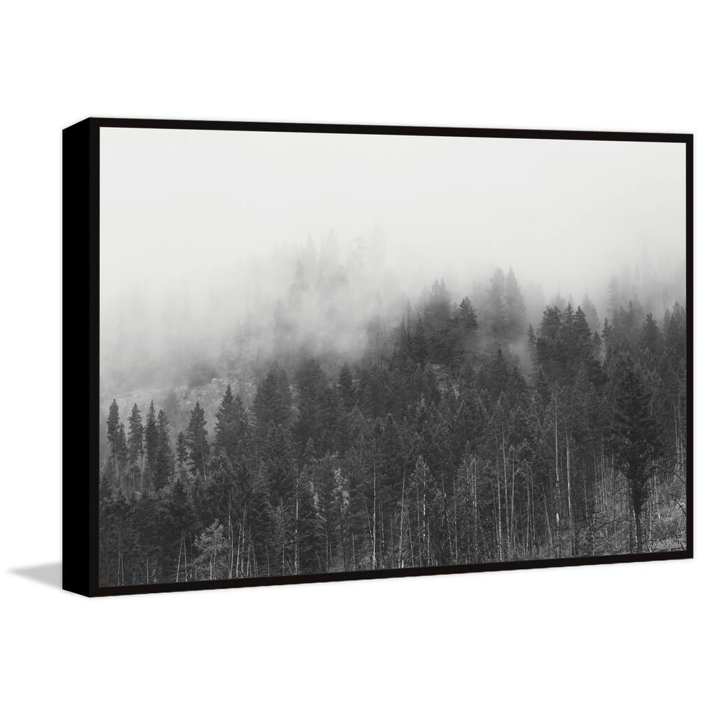 Be a Force of Nature Floater Framed Print on Canvas