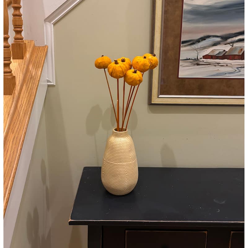 Orange Panna Pumpkin on Stem, Set of 12 - 25