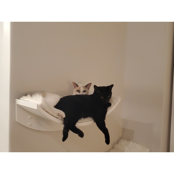 cleopatra leaf cat perch