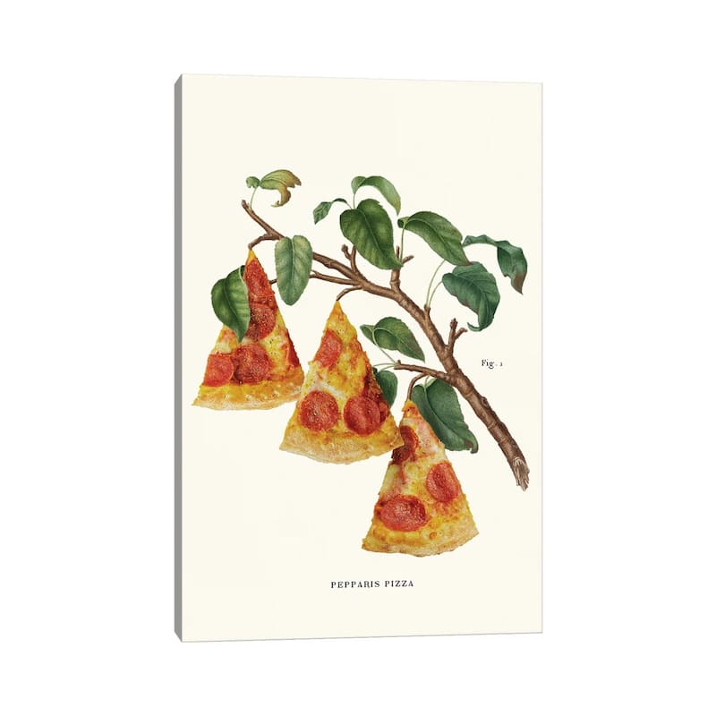 iCanvas "Pizza Plant" by Jonas Loose Canvas Print