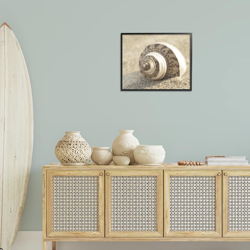 Stupell Neutral Tone Seashell Framed Giclee Art Design By Dora Rotondella