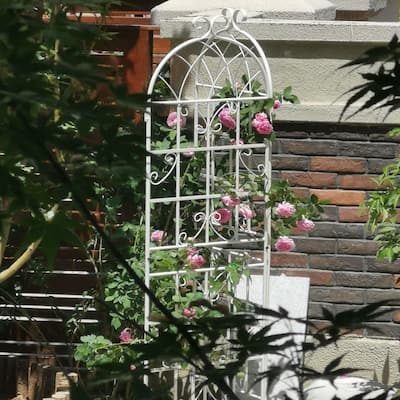 4 Pack Metal Garden Trellis 71" x 19.7" Rustproof Trellis for Climbing Plants Outdoor Flower Support Cream