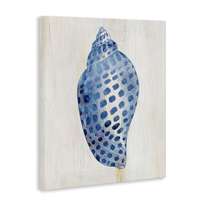 Stupell Spotted Blue Cowrie Shell Canvas Wall Art Design By Susan Arnot