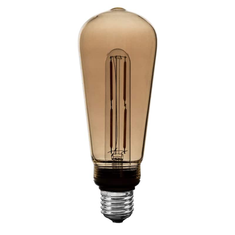 Festive Living LED ST19 + T25 Bulb Indoor/Outdoor Covered Edison Bulbs, E26 Base - Large