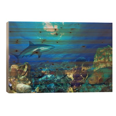 Caribbean Reef shark (Carcharhinus perezi) Rainbow Parrotfish (Scarus guacamaia) in the sea Print On Wood by Panoramic Images