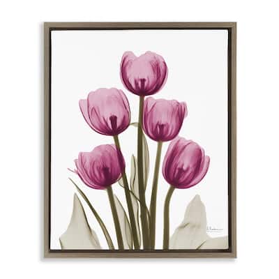 Stupell Pink X-Ray Tulips Framed Floater Canvas Wall Art Design by Albert Koetsier