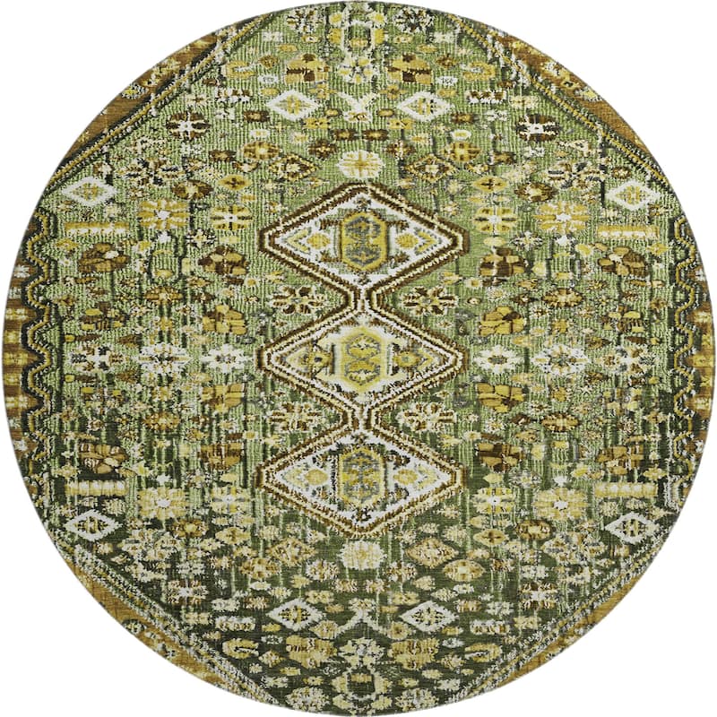 Premium Washable Super Soft Traditional Global Mayfield Rug