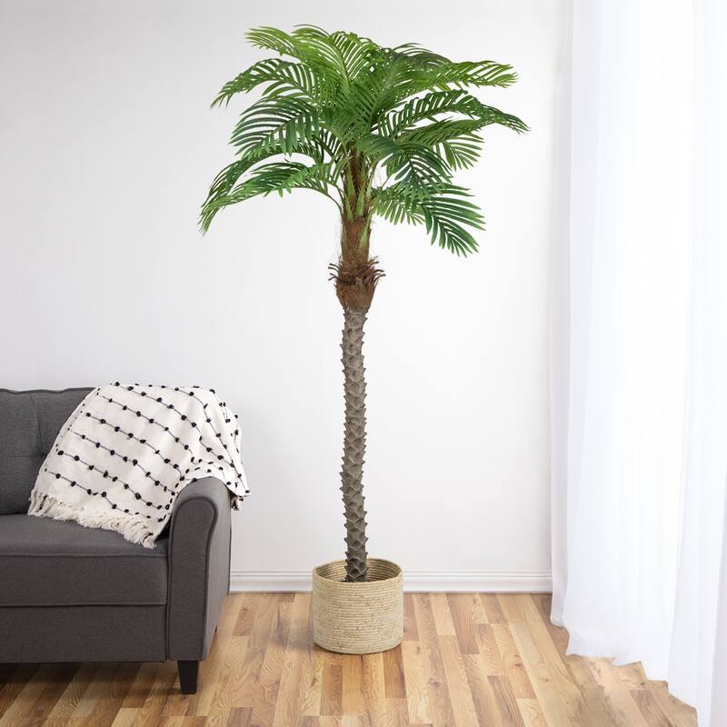 Artificial Potted Palm Trees - 6' - Set of 2