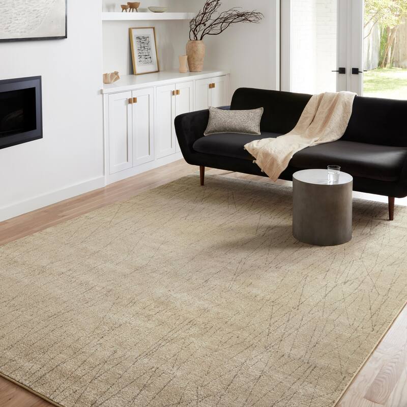 Alexander Home Bradford Modern Pendulum Area Rug