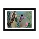 preview thumbnail 1 of 13, iCanvas "Male Black-chinned Hummingbird among cholla cactus, New Mexico, USA" by Tim Fitzharris