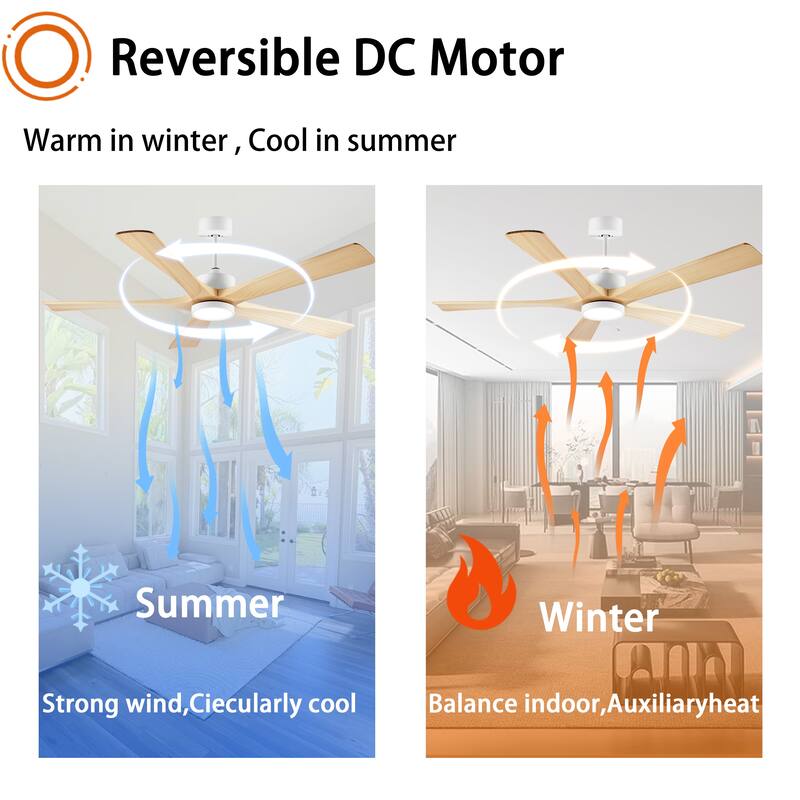 60-Inch Ceiling Fan with Light, 5 Solid Wood Blades, Downrod Mount for Sloped Ceiling ≤15°, Quiet Reversible DC Motor