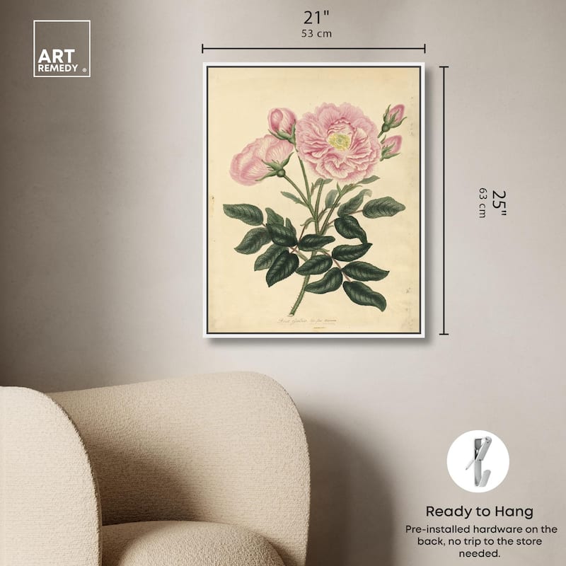 French Rose Canvas by Art Remedy