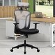 preview thumbnail 14 of 40, Ergonomic Mesh Executive Chair Home Office Chair with Lumbar Support, Headrest
