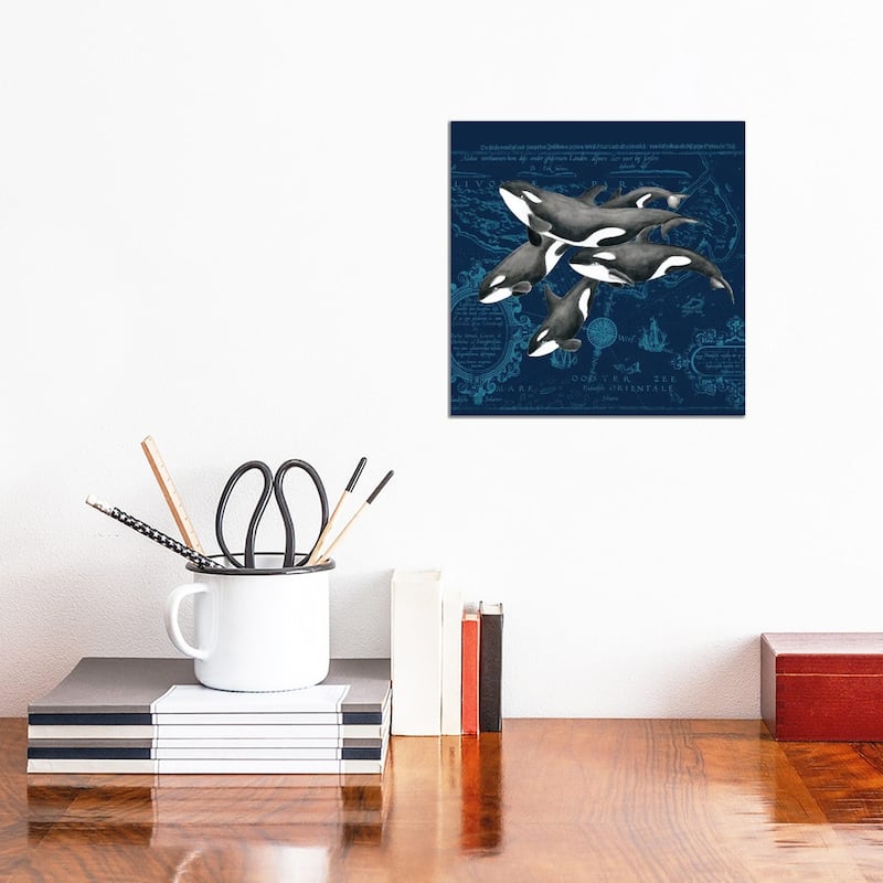 iCanvas "Orca Whale Pod Vintage Map Indigo" by Seven Sirens Studios Canvas Print - 12x12x0.75