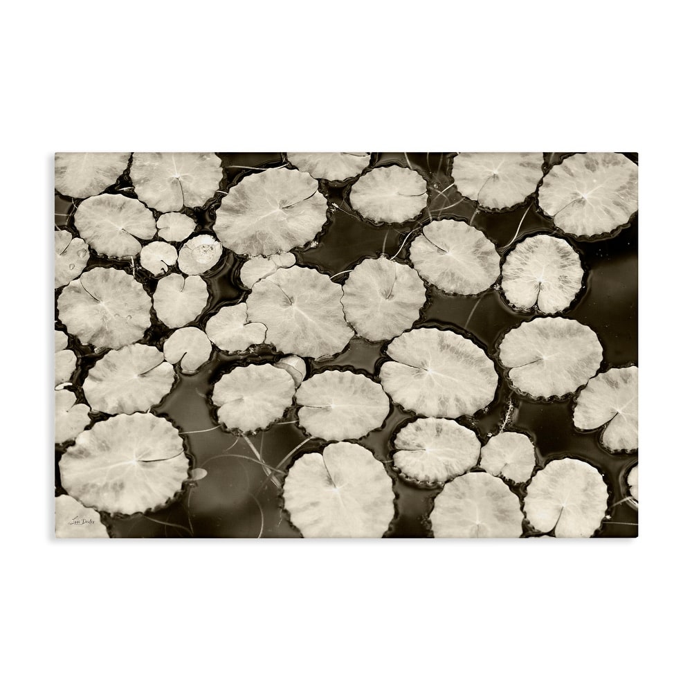 Stupell White Floating Lily Pads Canvas Wall Art Design By Lori Deiter