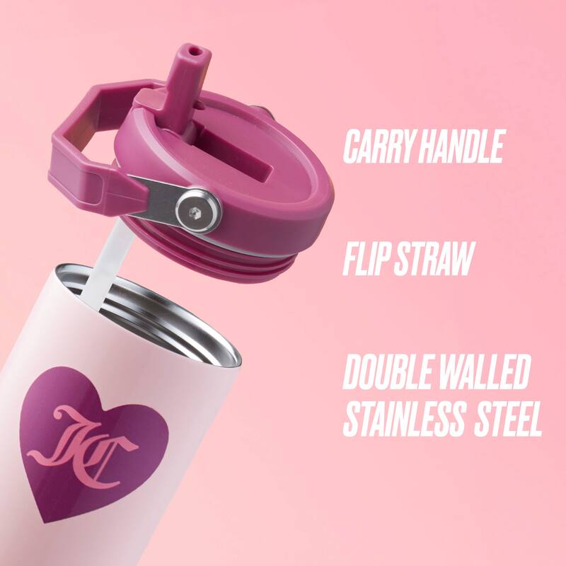 Juicy Couture Flip Flow Hydration Stainless Steel Screw Top Tumbler with Flip Straw 2-Pack