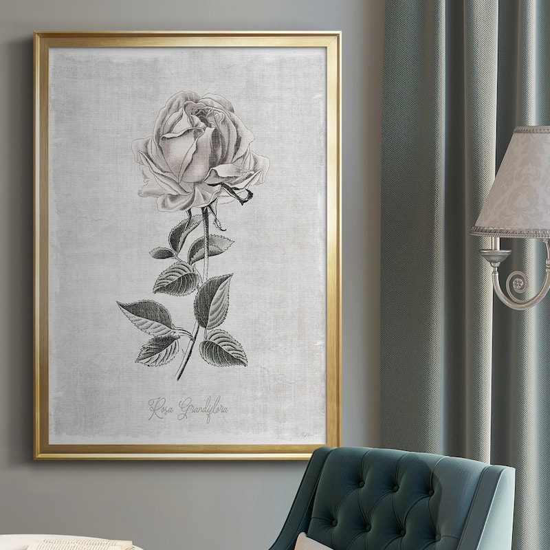Vintage Botanical II Premium Framed Print - Ready to Hang