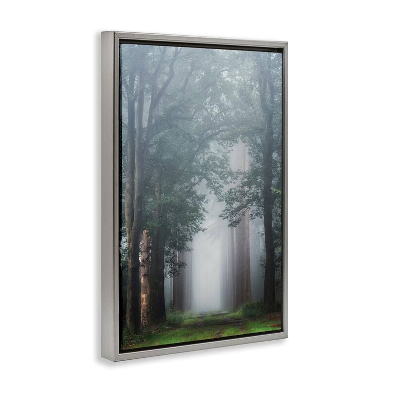 Stupell Calm Forest Clearing Framed Floater Canvas Wall Art Design By Martin Podt