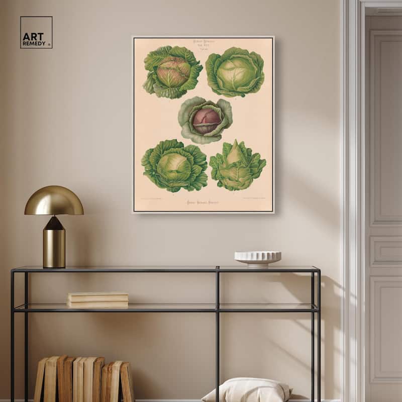 Cabbages by Benary 1876 Canvas by Art Remedy