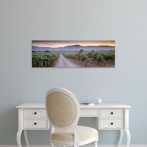 Easy Art Prints Panoramic Images's 'Road in a vineyard, Napa Valley, California, USA' Premium Canvas Art