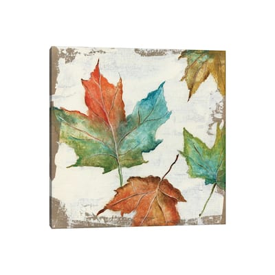 iCanvas "Fall Leaves" by Tava Studios Canvas Print