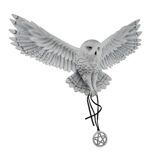 Anne Stokes Awaken Your Magic Pentagram Snowy Owl Wall Sculpture - On ...