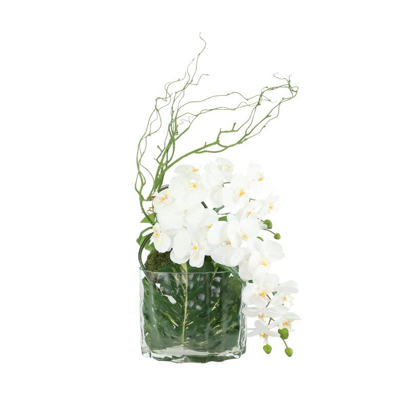Orchid Arrangement with Philodendron in Vase - 30
