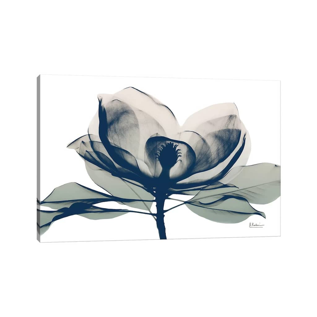 iCanvas "Blue Ranged Magnolia I" by Albert Koetsier Canvas Print