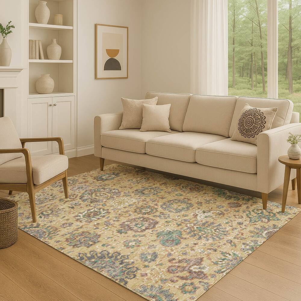Premium Washable Super Soft Traditional Global Mayfield Rug