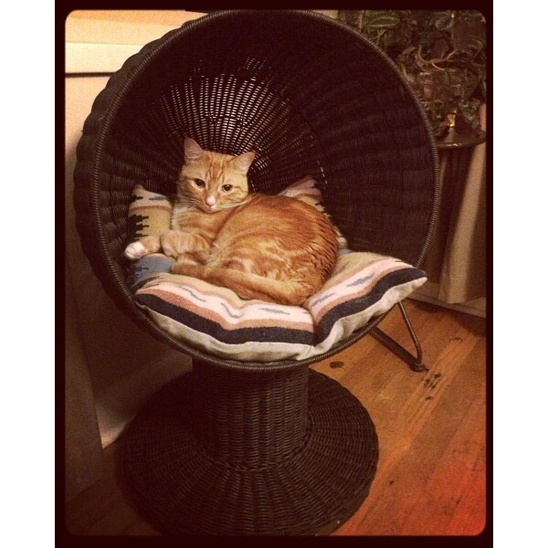Shop The Refined Feline S Kitty Ball Cat Bed Overstock 6137801