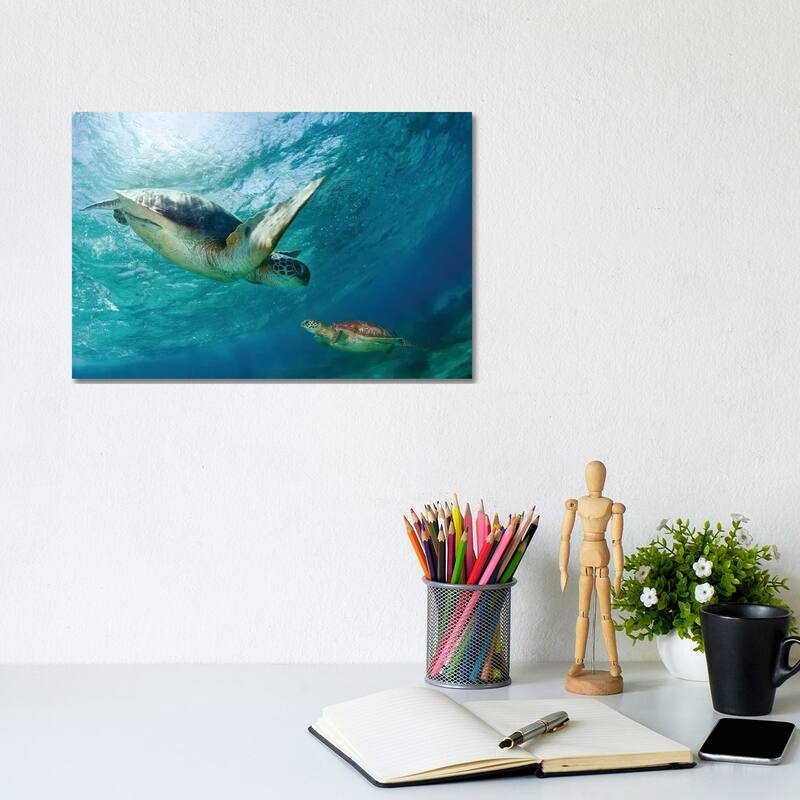 iCanvas "Contact" by Andrey Narchuk Canvas Print - 8x12x0.75